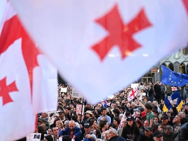 Tbilisidə etirazçılar Prezident sarayı ərazisinə girdi - xüsusi təyinatlılar səfərbər edildi - <span class="color_red">FOTO</span>