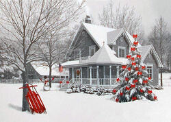 Dünya Yeni ili necə qarşıladı?