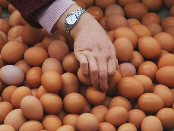 Yumurta alarkən diqqətli olun: Tarixsiz məhsul sağlamlığa təhlükə yarada bilər - AÇIQLAMA