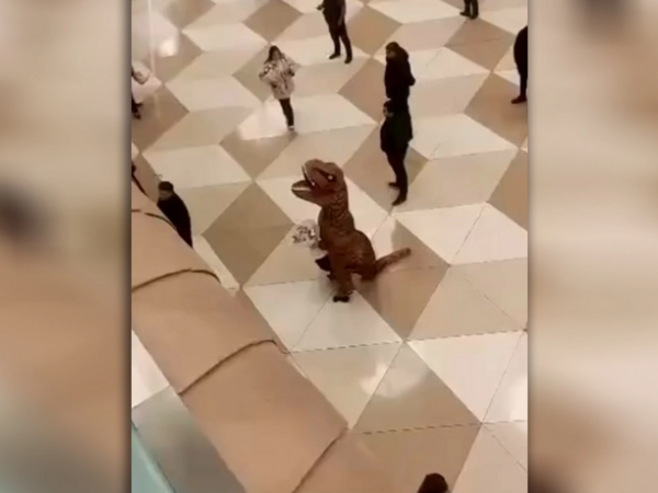 Bakı aeroportunda qonaq qarşılayan &quot;dinozavr&quot; - <span class="color_red">VİDEO</span>