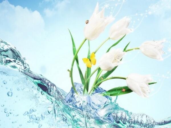 Bu gün Novruzun ilk çərşənbəsidir