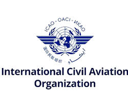 ICAO Qazaxıstanın AZAL-a məxsus təyyarənin qəzasının araşdırılmasına dair ilkin hesabatını yüksək qiymətləndirir