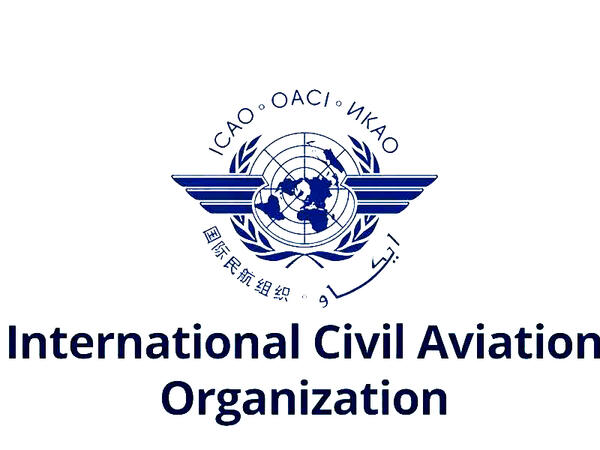 ICAO Qazaxıstanın AZAL-a məxsus təyyarənin qəzasının araşdırılmasına dair ilkin hesabatını yüksək qiymətləndirir