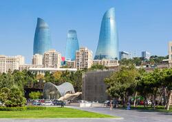 Bakıda insanlar təşviş içində - küçəni bürüyən bu canlılar nədir? - <span class="color_red">VİDEO</span>