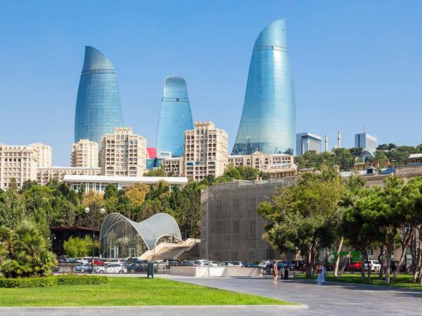 Bakıda insanlar təşviş içində - küçəni bürüyən bu canlılar nədir? - <span class="color_red">VİDEO</span>