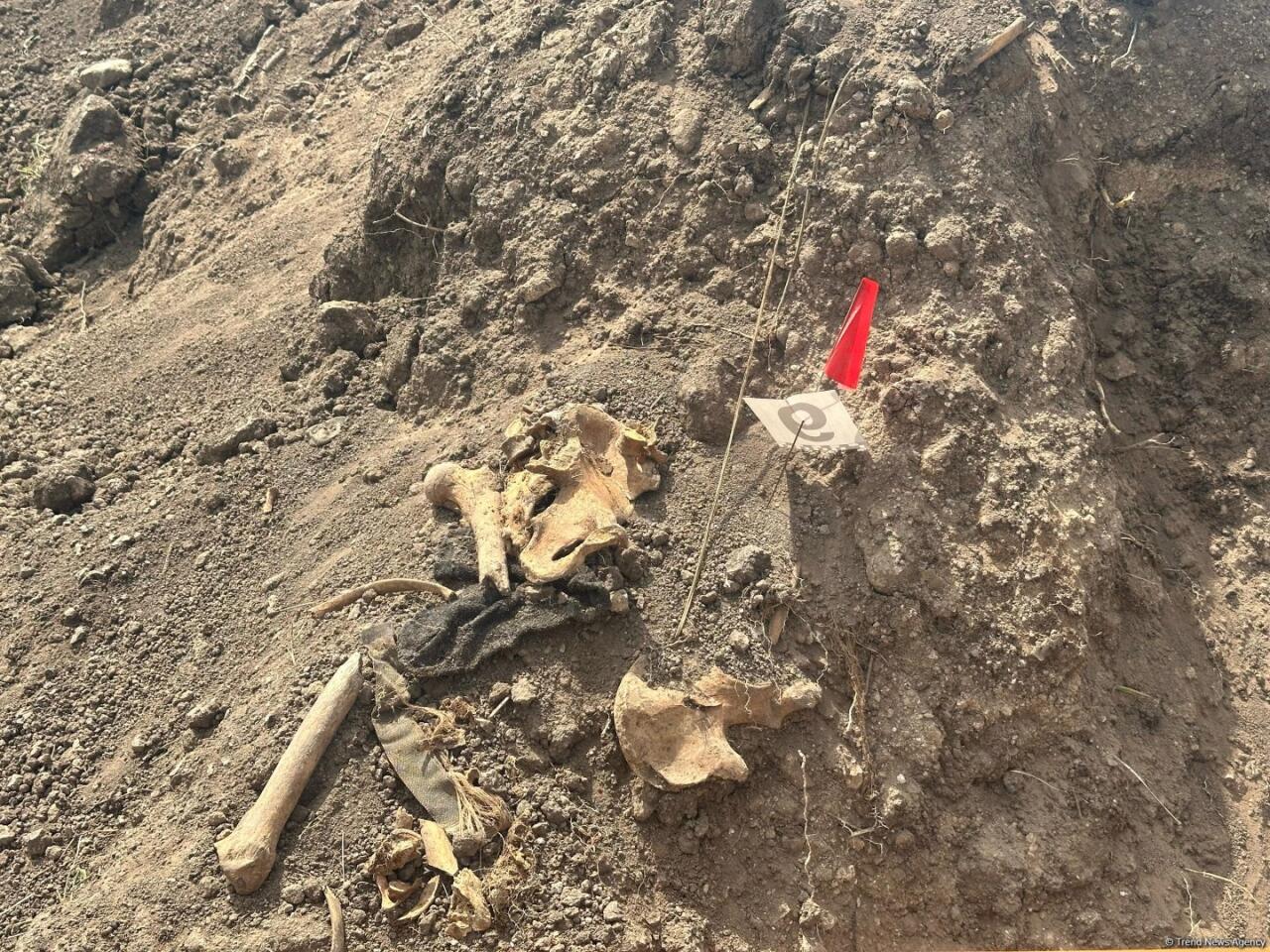 Xocalıda daha bir kütləvi məzarlıq aşkarlandı -