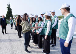 Sumqayıtda ağacəkmə aksiyası keçirilib - FOTO
