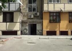 Azərbaycanda təhlükəli canlılar peyda oldu - 60 ailə təhlükədə - <span class="color_red">VİDEO</span>