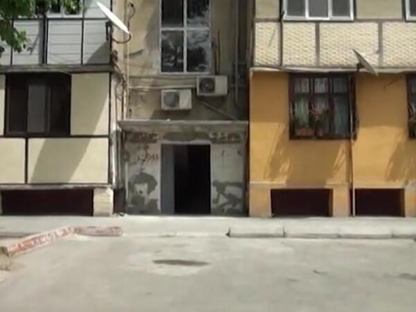 Azərbaycanda təhlükəli canlılar peyda oldu - 60 ailə təhlükədə - <span class="color_red">VİDEO</span>