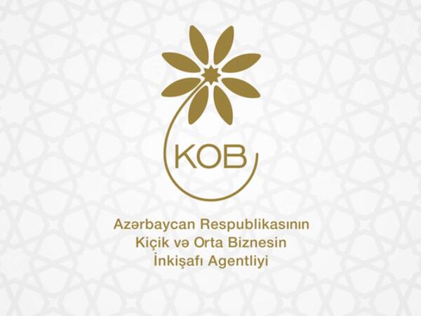 Azərbaycan-Vyetnam Biznes Şurası yaradılır - FOTO