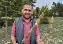 Kilosu 40 manata satılır - Bütün kənd bura axın edir