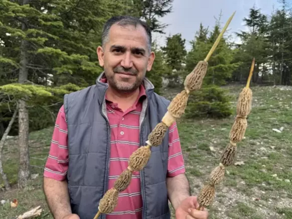 Kilosu 40 manata satılır - Bütün kənd bura axın edir