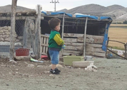 Ağcaqanad 1 yaşlı uşağın həyatını məhv etdi - 6 ildir yataq xəstəsidir - FOTO