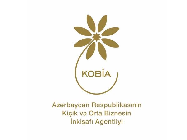 Regionlarda sahibkarlıq fəaliyyəti üçün imkanlar: KOB evləri, KOB dostları, KOB inkişaf mərkəzləri - <span class="color_red">FOTO</span>