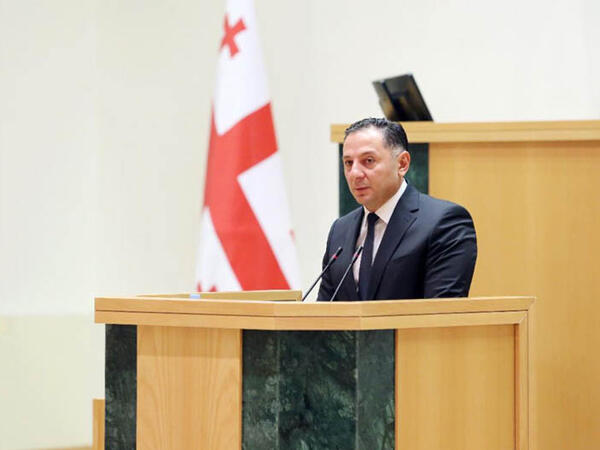 Gürcüstanın daxili işlər naziri istefa VERDİ