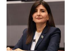 Tramp administrasiyası Azərbaycan-ABŞ münasibətlərində strateji tərəfdaşlığı dəstəkləyir – Sevil Mikayılova