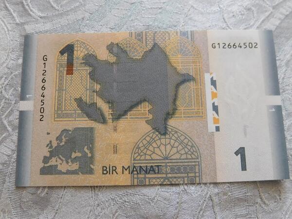Bu böcəyi diri tutanlara pul mükafatı verilir - 23 ədədi 1 manatdan - <span class="color_red">FOTO</span>