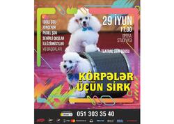 “Balacalar üçün Sirk” adlı teatr tamaşası bütün ailəni sevindirəcək