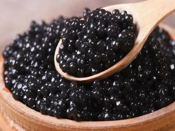 Kürü istehsalında rekord artım: Hamı dada biləcək?