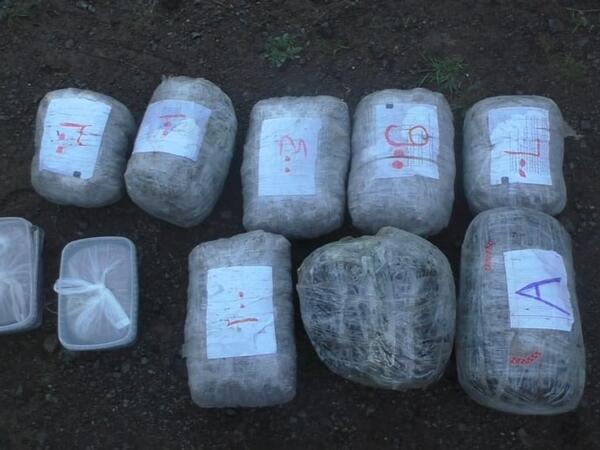 Dünən 16 kiloqramdan çox narkotik vasitə məhv edilib