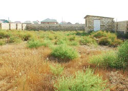 Məmmədlidə vətəndaşın evini “sənəddə” başqası sahiblənib - <span class="color_red">FOTO</span>