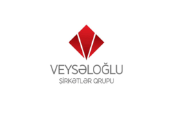 Peşəkarlar &quot;həvəsləndirildi&quot;, dost-tanış mükafatlandırıldı - Jurnalistlər etiraz etdi