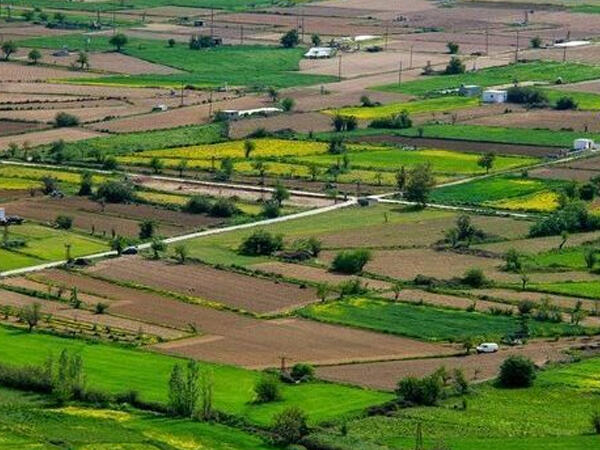 Torpaq özəlləşməsində mühüm addım