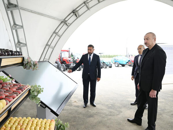 Prezident İlham Əliyev Yevlax pilot aqroparkının açılışında iştirak edib
