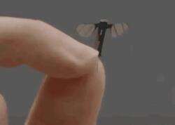 Çində ağcaqanad ölçüsündə mini PUA hazırlanıb