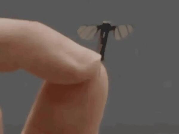 Çində ağcaqanad ölçüsündə mini PUA hazırlanıb