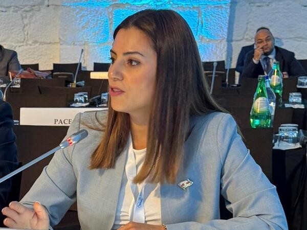 Deputat: Sülh sazişi üçün son maneələr aradan qaldırılmalıdır - <span class="color_red">VİDEO</span>