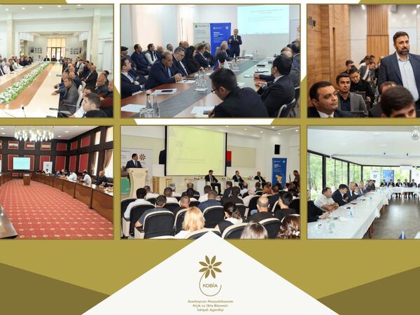 2025-ci ilin birinci yarısında sahibkarlarla 70-ə yaxın sahəvi və maarifləndirici görüşlər keçirilib - FOTO