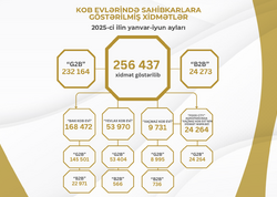 Bu ilin I yarısında KOB evlərində sahibkarlara 260 minə yaxın xidmət göstərilib