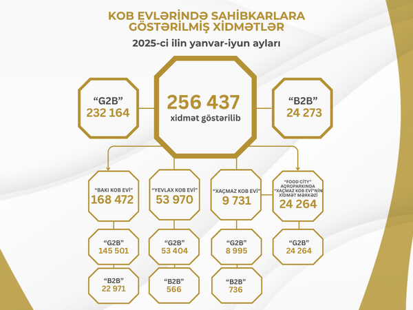 Bu ilin I yarısında KOB evlərində sahibkarlara 260 minə yaxın xidmət göstərilib