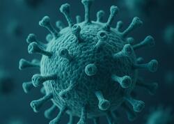 Çində iki yeni virus aşkar edildi  - Meyvələrdən sürətlə insanlara yayılır