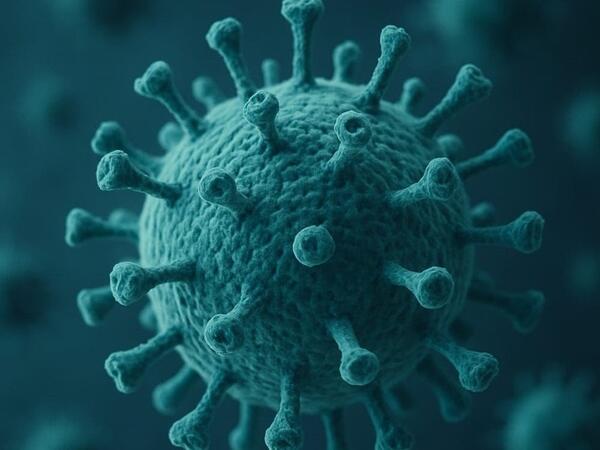 Çində iki yeni virus aşkar edildi  - Meyvələrdən sürətlə insanlara yayılır
