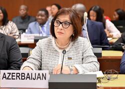 Sahibə Qafarova Parlament Sədrlərinin VI Dünya Konfransı çərçivəsində keçirilən panel müzakirəsində çıxış edib - <span class="color_red">FOTO</span>