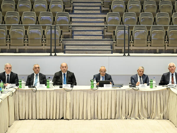 İqtisadi artım və dayanıqlı məskunlaşmaya dair alt işçi qrupların ilk iclası keçirilib - <span class="color_red">FOTO</span>