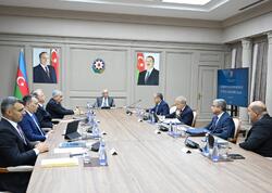İqtisadi Şuranın növbəti iclası keçirildi - FOTO