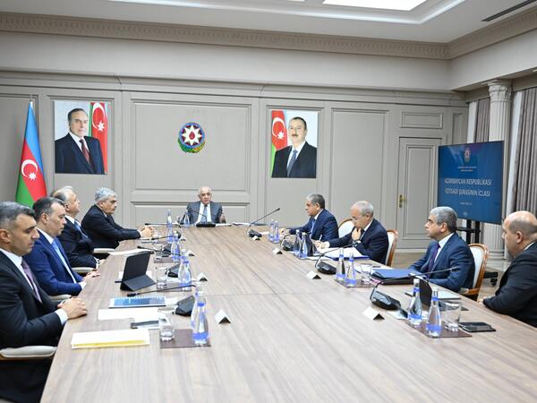 İqtisadi Şuranın növbəti iclası keçirildi - FOTO