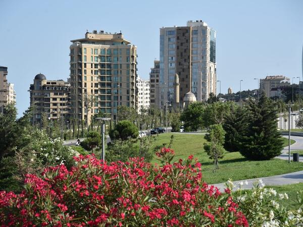 &quot;Təzəpirin ətrafı yenidən qurulacaq, süni göl yaradılacaq&quot;