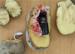 Kartofun içində telefon keçirmək istədi, saxlanıldı