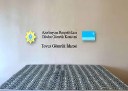 Gömrük nəzarətindən gizlədilən xarici valyuta aşkar edilib