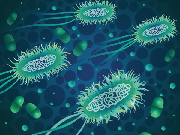 Alimlər antibiotiklərə davamlı bakteriyaları məhv etməyin yolunu tapdılar