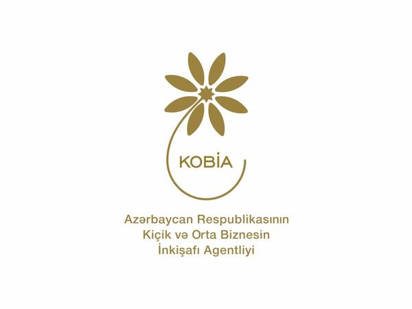 İsveçrədə KOBİA-nın təşəbbüsü ilə Bakı İqlim Koalisiyasının təqdimatı keçirilib - <span class="color_red">FOTO</span>