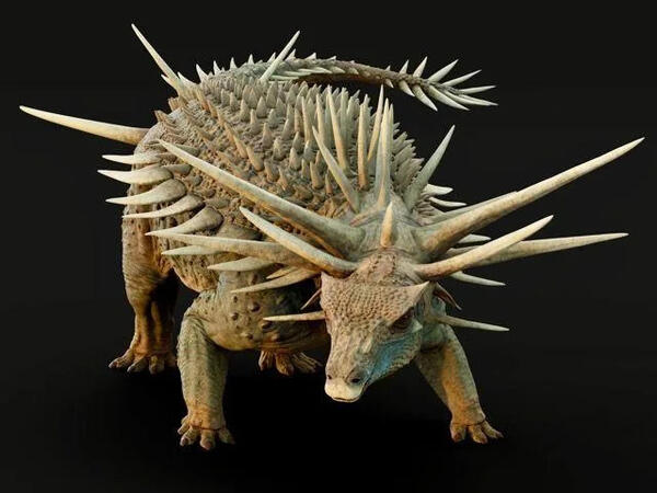 165 milyon il əvvəl yaşamış tikanlı dinozavr kəşf edildi - FOTO