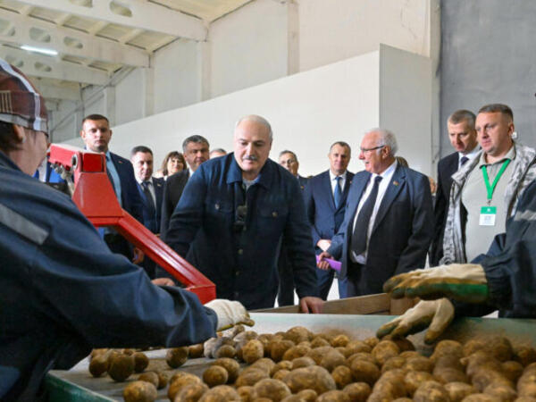 Lukaşenko dünya liderlərinə kartof hədiyyə edəcək