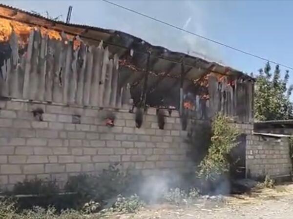 Ağcabədidə yanğın: heyvanlar tələf oldu, xəsarət alan var