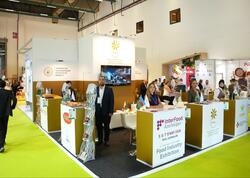 Azərbaycan sahibkarları “WorldFood Istanbul 2025” sərgisində məhsullarını təqdim edirlər - FOTO
