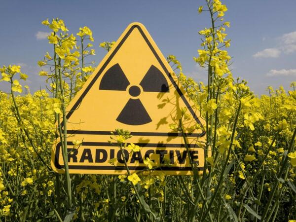 Azərbaycan ərazisində radioloji vəziyyət necədir?
